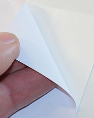 Polimerna bela folija